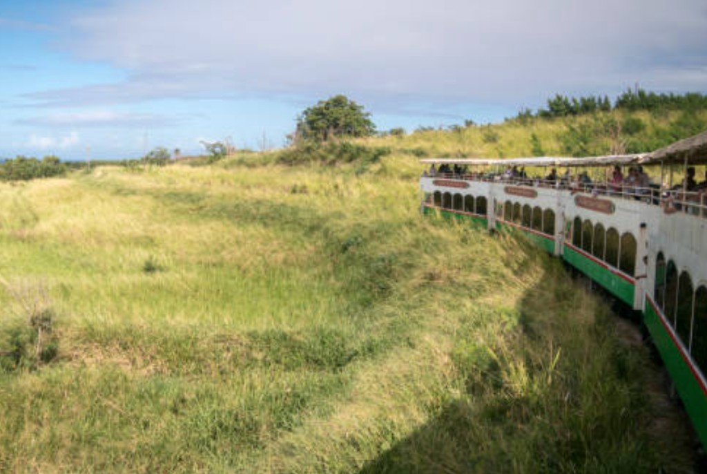 St Kitts Scenic Railway open-air train passing through tropical hills